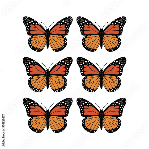 Symmetrical orange and black butterfly on white background