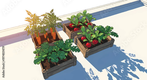Potted plants with strawberries and carrots on a balcony