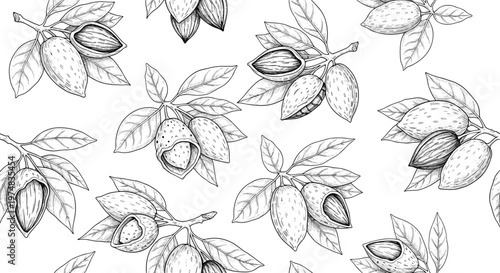 Vintage monochrome seamless pattern with detailed hand drawn sketches of almond nuts in shells and lush leaves on white.