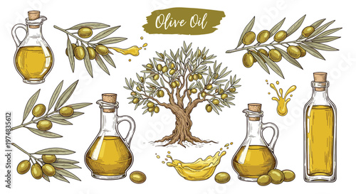 Collection of olive oil bottles splashes olive branches and an olive tree in a detailed botanical sketch style on white background.