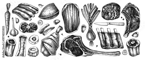 Raw Meat Cuts and Butchery Ingredients Hand-Drawn Vector Illustrations Set Vintage Engraved Style