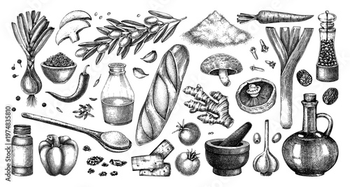 Cooking Ingredients and Kitchen Food Hand Drawn Illustrations Collection In Vinatge Engraved Style