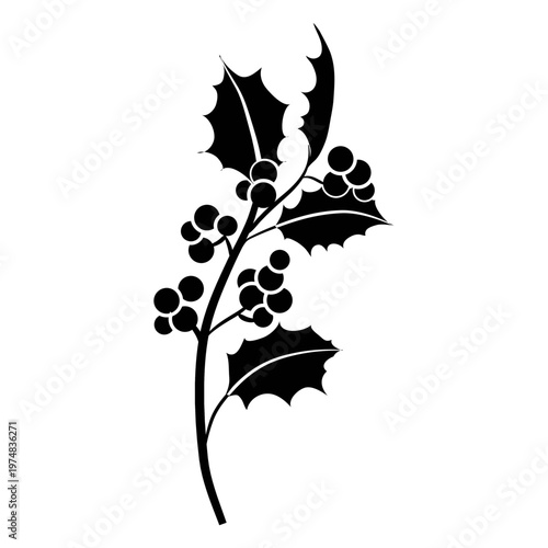 Mistletoe branch silhouette icon 2