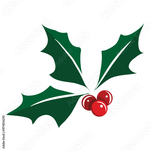Mistletoe icon 13