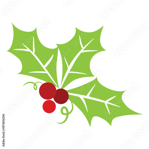 Mistletoe icon 1