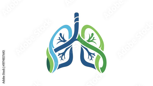 Human Lungs Anatomy Illustration.