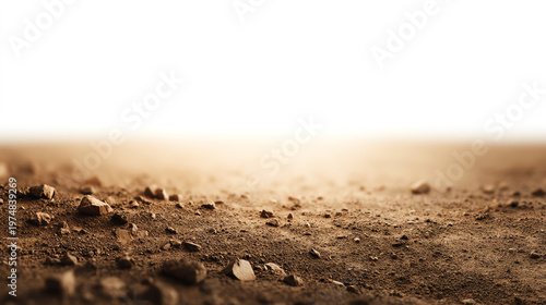 A close-up view of a dry, dusty ground with small rocks; evokes a sense of arid landscape and natural textures.
