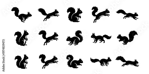 Squirrel silhouette vector set, 15 black animal icons in various poses, jumping and sitting forest rodents, wildlife nature graphic elements
