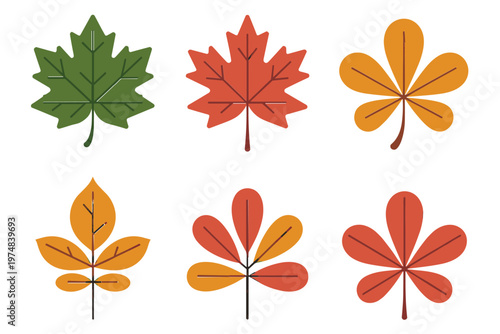 Colorful autumn leaves in a flat graphic design silhouette