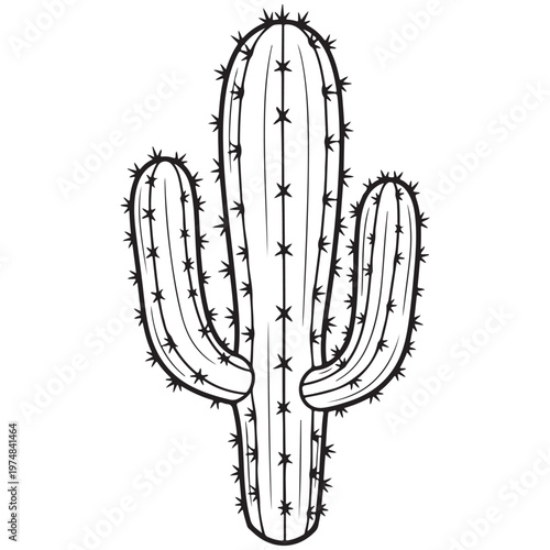 Black and White Outline Drawing of a Desert Cactus