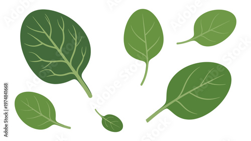 Lively green spinach leaves gently scattered across a clean white backdrop, fresh and organic food illustration, organic produce concept, healthy lifestyle design