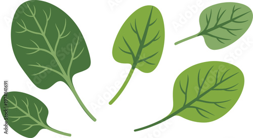 Lively green spinach leaves gently scattered across a clean white backdrop, fresh and organic food illustration, organic produce concept, healthy lifestyle design