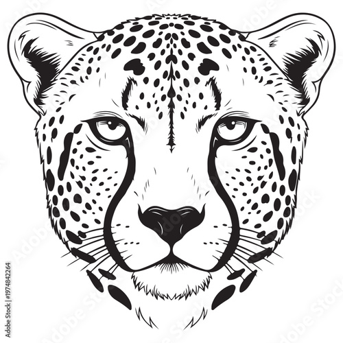 Black and White Cheetah Portrait with Spot Pattern