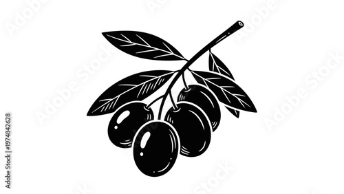 Black Cherries on a Branch.