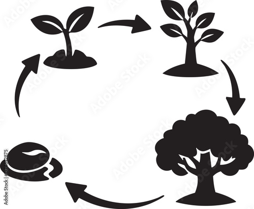 Tree growth stages from seed to maturity in a cycle