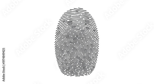 Human fingerprint detailed pattern in black ink on white background used for biometrics identification and personal security systems.