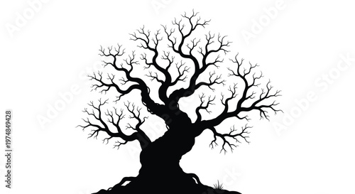 Old crooked tree silhouette without leaves with many branches on white background representing nature and lonely atmosphere.
