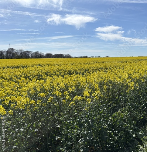 Garden of England