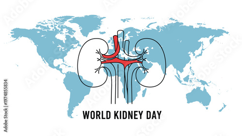 line drawing of human kidneys is positioned over a light blue world map to observe world kidney day and organ health.