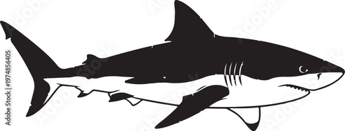 Black and white shark swimming in ocean waters