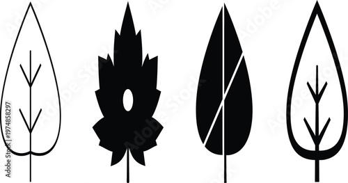 Four leaf shapes illustrations of botanical variety