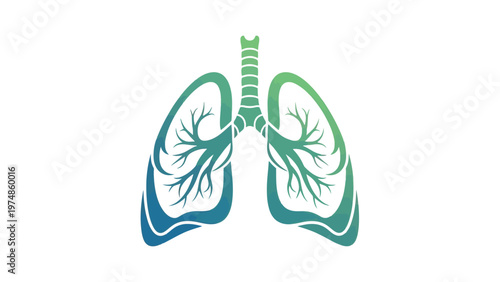 Human Lungs Anatomy Illustration.