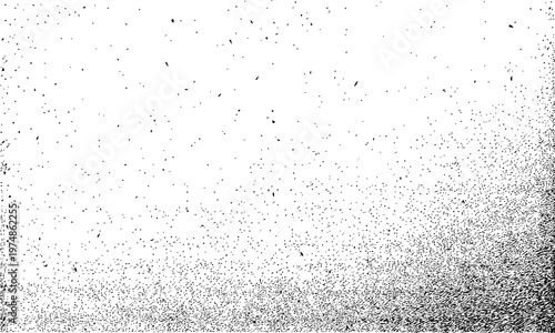 A white and black image with many small pixels