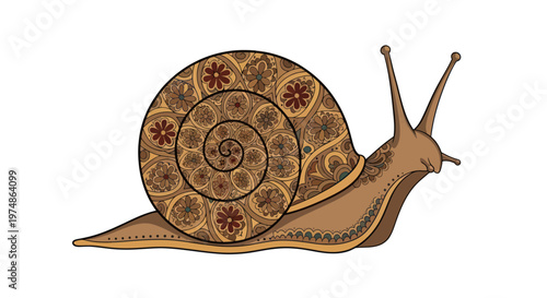 Brown Snail Shell Animal Slow Creature.