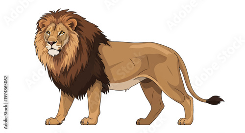 Full body vector illustration of a male African lion with a thick dark brown mane standing in profile view, isolated on a white background, featuring realistic proportions and detailed fur texture.