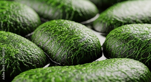 Close up of wet river rocks covered in bright green slime and moss, indicating a dangerously slick and treacherous surface, organic, outdoor, precarious