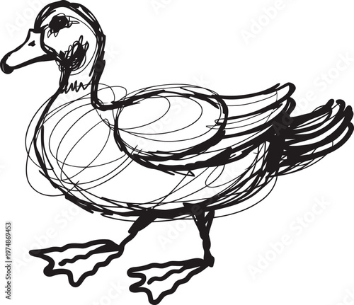 sketch of a duck standing sideways with detailed wings and webbed feet
