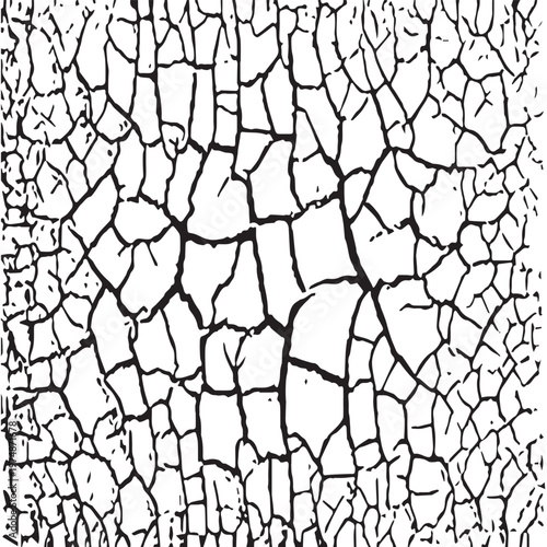 Fractured earth patterns revealing timeless beauty in natural surface textures