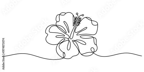A single continuous line drawing of a tropical hibiscus flower with a long prominent stamen style