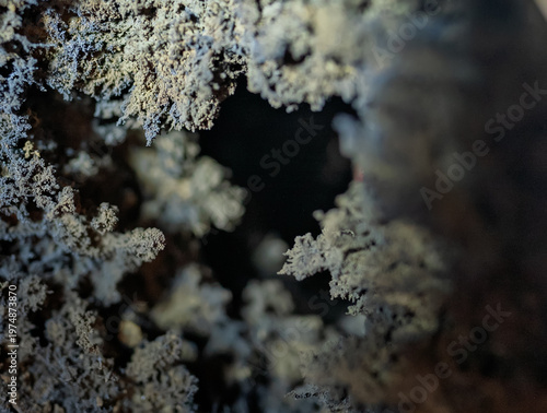 Close-up of soot texture.