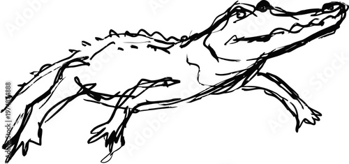 Sketch drawing of a crocodile in black ink on white background with detailed textured skin and open mouth