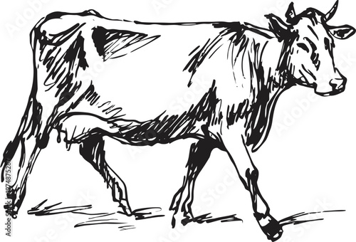 hand drawn sketch of a walking cow with detailed shading and natural pose