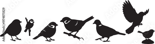 black silhouettes of various birds on white background