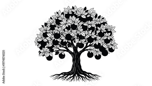 Detailed black and white vector illustration of an orange tree with many round fruits and lush leaves including root system.
