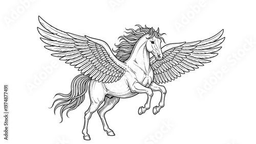 Majestic winged horse pegasus rearing up in a detailed black and white engraving style illustration on white background.