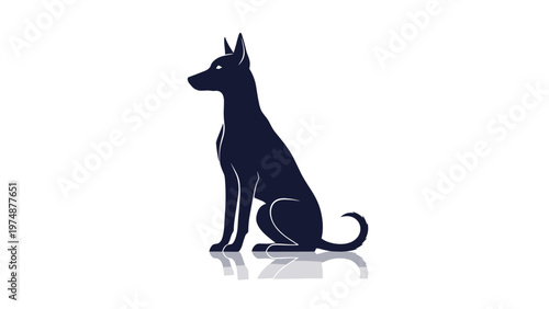Clean silhouette of a well trained dog sitting in a proud and alert posture with a subtle reflection on the ground below it.