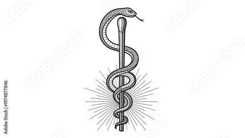 Unique medical symbol featuring a snake coiled around a matchstick with rays of light emanating from the center for a creative health concept.