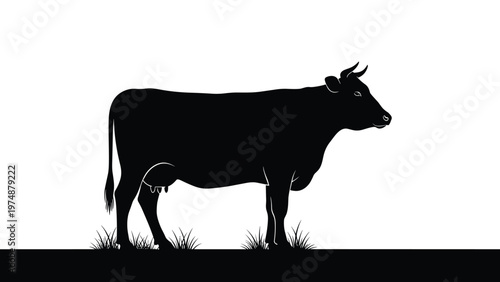 Solid black silhouette of a cow standing in a grassy field with subtle details of its udder and horns against a white background.