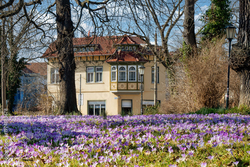 Arnstadt im Frühling