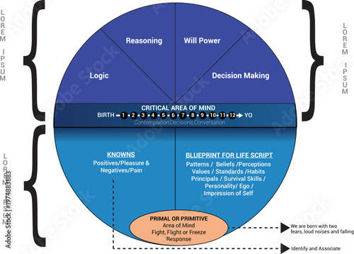Collection of vector circle chart infographic templates for presentations, advertising, layouts, annual reports. 6 options, steps, parts	