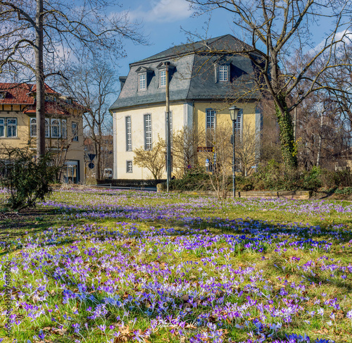 Arnstadt im Frühling