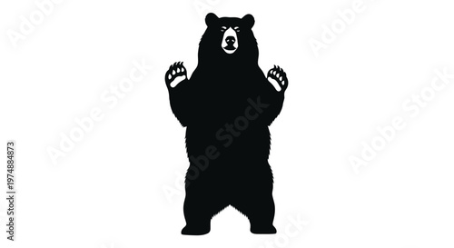 Black Bear Standing Silhouette Animal.