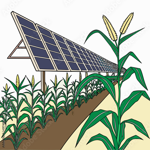 An illustration depicts a solar panel installation positioned above a field of ripening corn representing renewable energy and agriculture high quality professional
