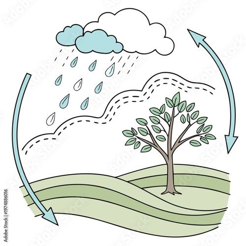 This illustration depicts the water cycle showing evaporation condensation precipitation and collection within a simple landscape high quality professional detailed modern elegant
