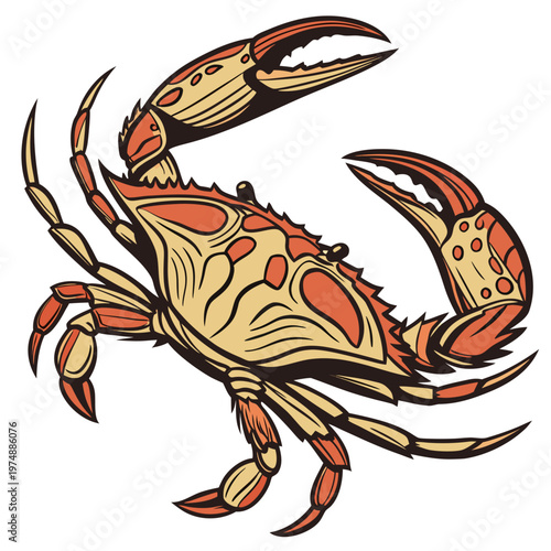 A detailed illustration showcases a vibrant orange and cream colored crab with prominent claws and legs set against a white backdrop