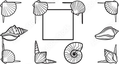Illustrations of different types of mushrooms and fungi Vector